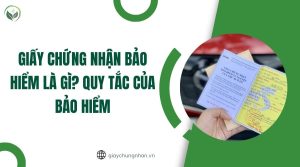 Giấy chứng nhận bảo hiểm là gì? Quy tắc của bảo hiểm