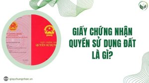 Giấy chứng nhận quyền sử dụng đất là gì?