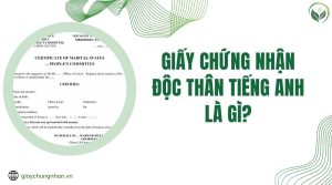 Giấy chứng nhận độc thân tiếng anh là gì?