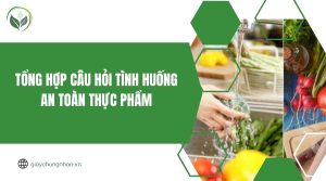 Tổng hợp câu hỏi tình huống an toàn thực phẩm