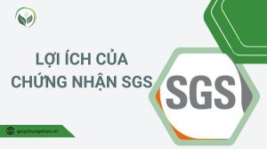 Lợi ích của chứng nhận SGS