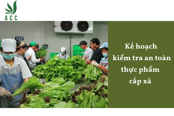 Kế hoạch kiểm tra an toàn thực phẩm cấp xã 