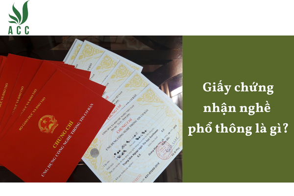 Giấy chứng nhận nghề phổ thông là gì?