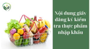 Nội dung giấy đăng ký kiểm tra thực phẩm nhập khẩu