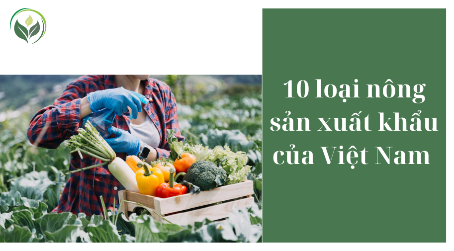10 loại nông sản xuất khẩu của Việt Nam 