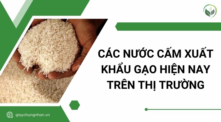 Các nước cấm xuất khẩu gạo hiện nay trên thị trường