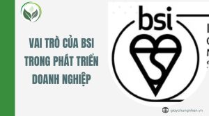 Vai trò của BSI trong phát triển doanh nghiệp