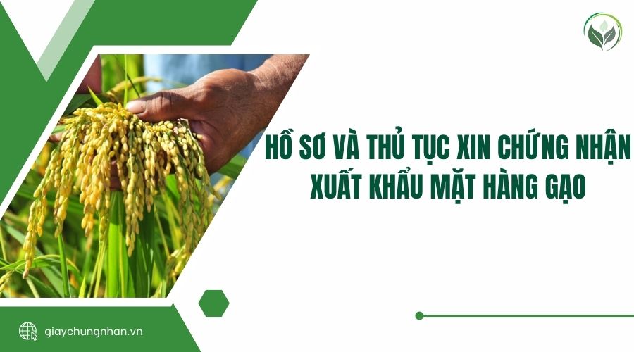 Hồ sơ và thủ tục xin chứng nhận xuất khẩu mặt hàng gạo