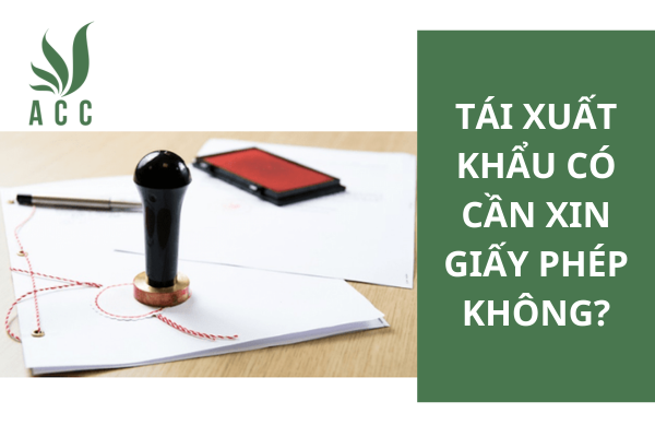 Tái xuất khẩu có cần xin giấy phép không?