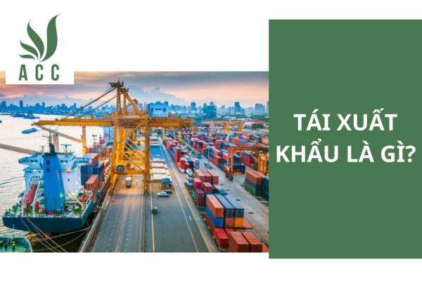 Tái xuất khẩu là gì?