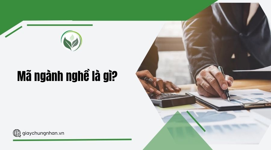 Mã ngành nghề là gì?