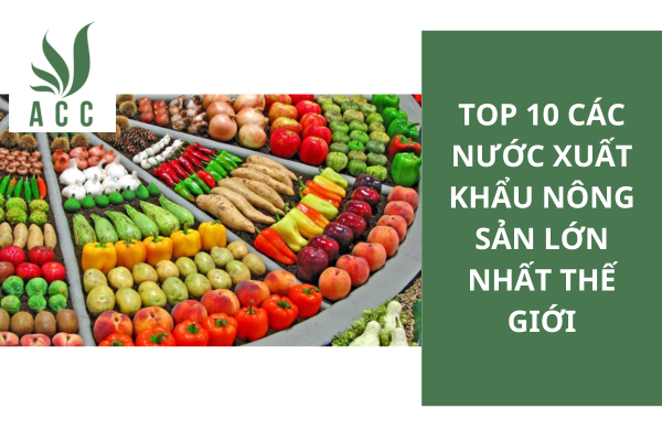 Top 10 các nước xuất khẩu nông sản lớn nhất thế giới