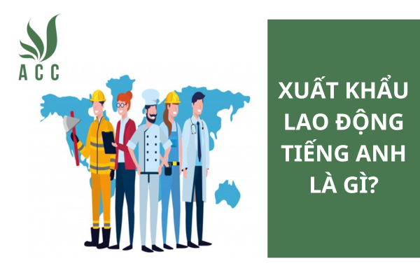 Xuất khẩu lao động tiếng anh là gì?