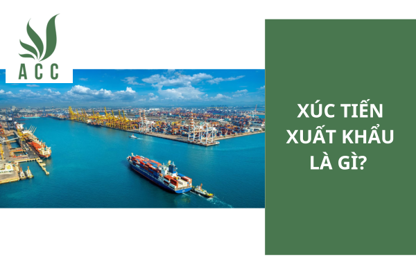 Xúc tiến xuất khẩu là gì?
