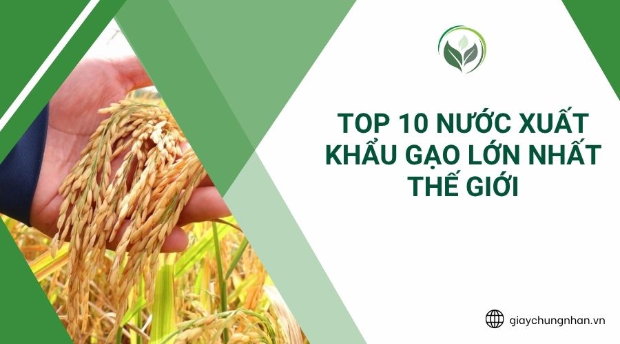 Top 10 nước xuất khẩu gạo lớn nhất thế giới