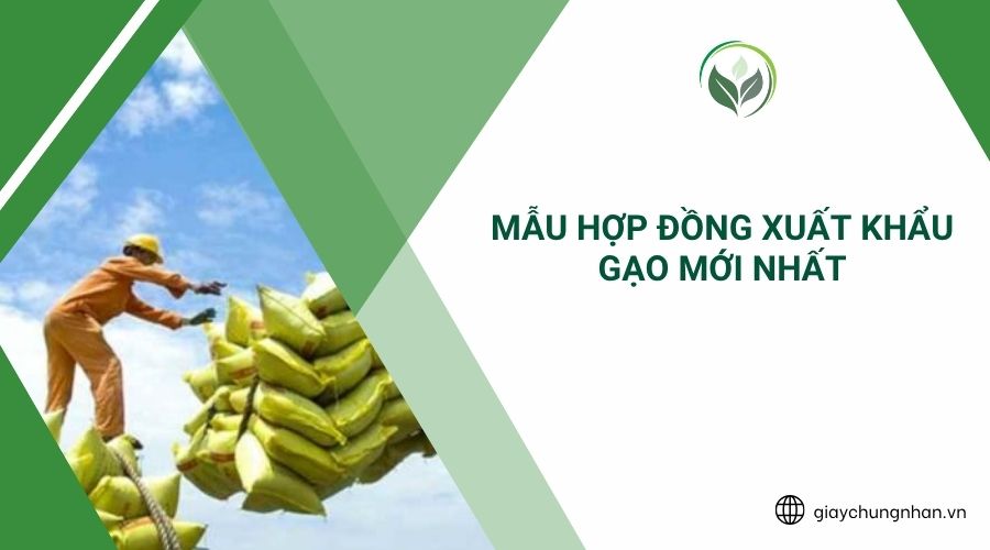 Mẫu hợp đồng xuất khẩu gạo mới nhất