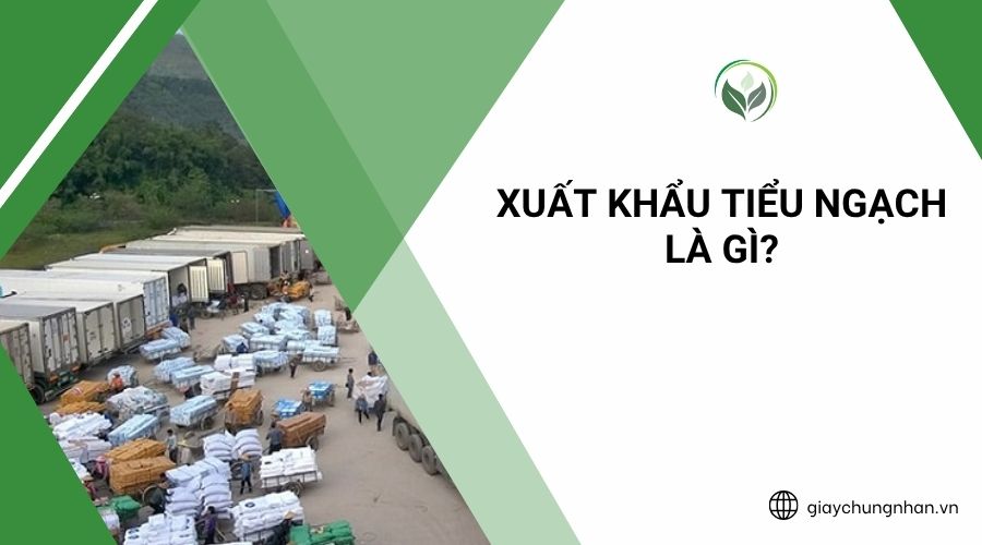 Xuất khẩu tiểu ngạch là gì?