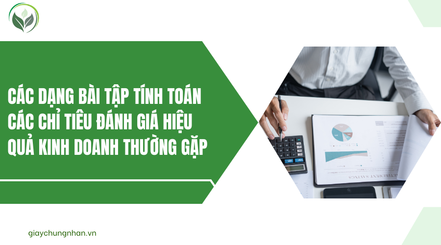 Các dạng bài tập tính toán các chỉ tiêu đánh giá hiệu quả kinh doanh thường gặp