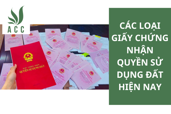 Các loại giấy chứng nhận quyền sử dụng đất hiện nay