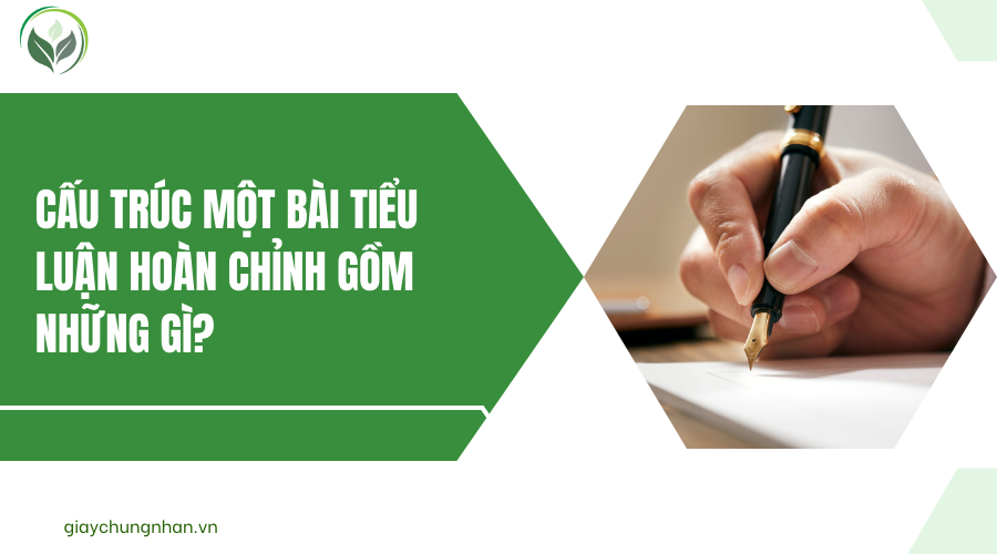 Cấu trúc một bài tiểu luận hoàn chỉnh gồm những gì?