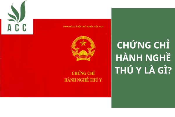 Chứng chỉ hành nghề thú y là gì