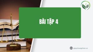 Bài tập 4