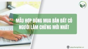Mẫu hợp đồng mua bán đất có người làm chứng mới nhất