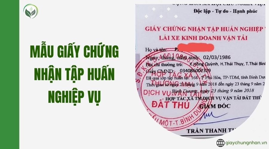 Mẫu giấy chứng nhận tập huấn nghiệp vụ