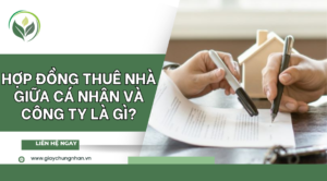 Hợp đồng thuê nhà giữa cá nhân và công ty là gì?