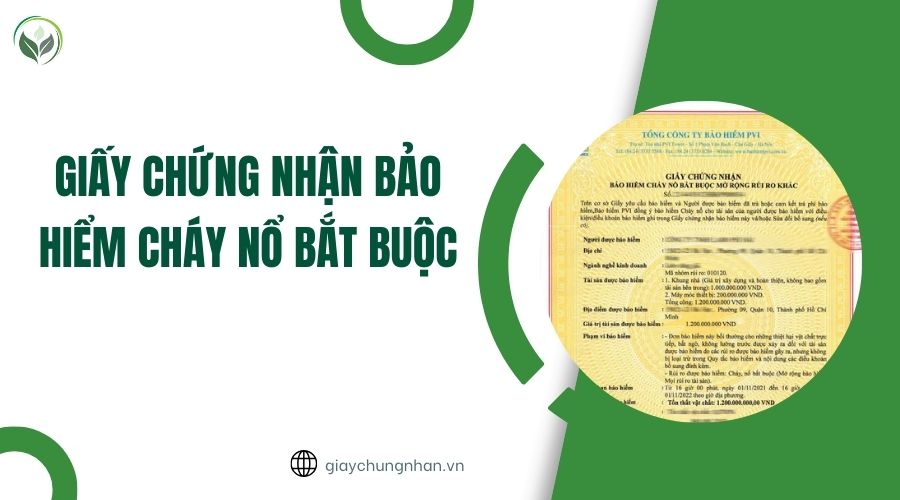 Giấy chứng nhận bảo hiểm cháy nổ bắt buộc