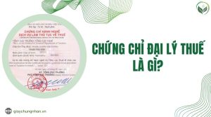 Chứng chỉ đại lý thuế là gì?