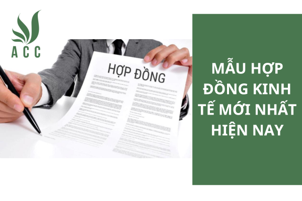 Mẫu hợp đồng kinh tế mới nhất hiện nay