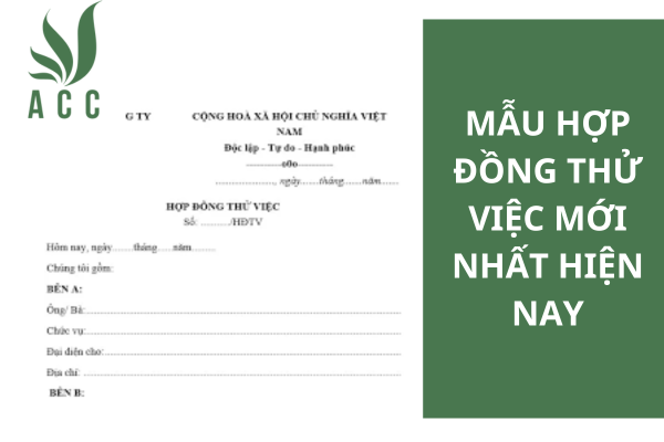 Mẫu hợp đồng thử việc mới nhất hiện nay