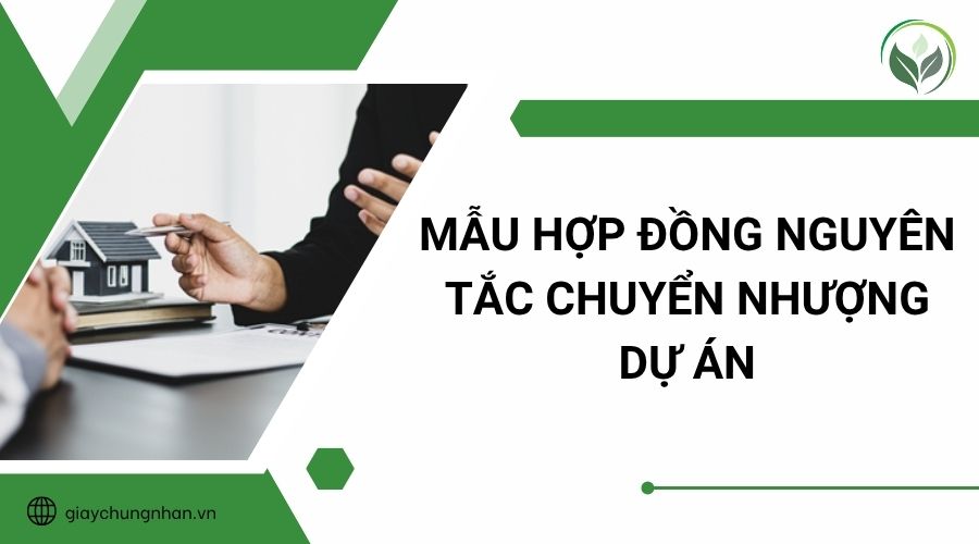 Mẫu hợp đồng nguyên tắc chuyển nhượng dự án