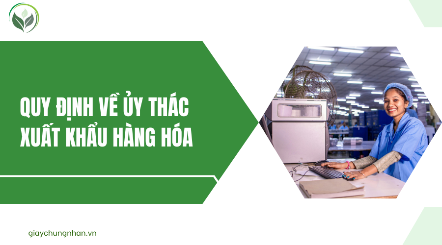 Quy định về ủy thác xuất khẩu hàng hóa