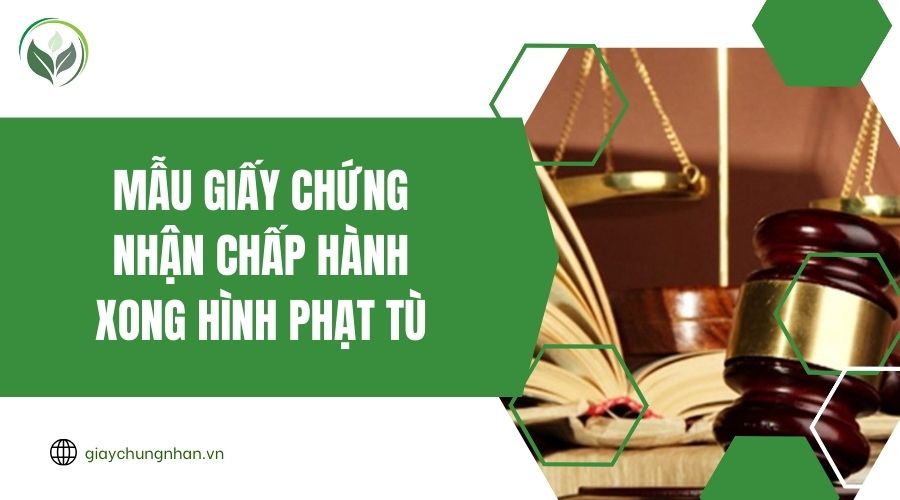 Mẫu giấy chứng nhận chấp hành xong hình phạt tù