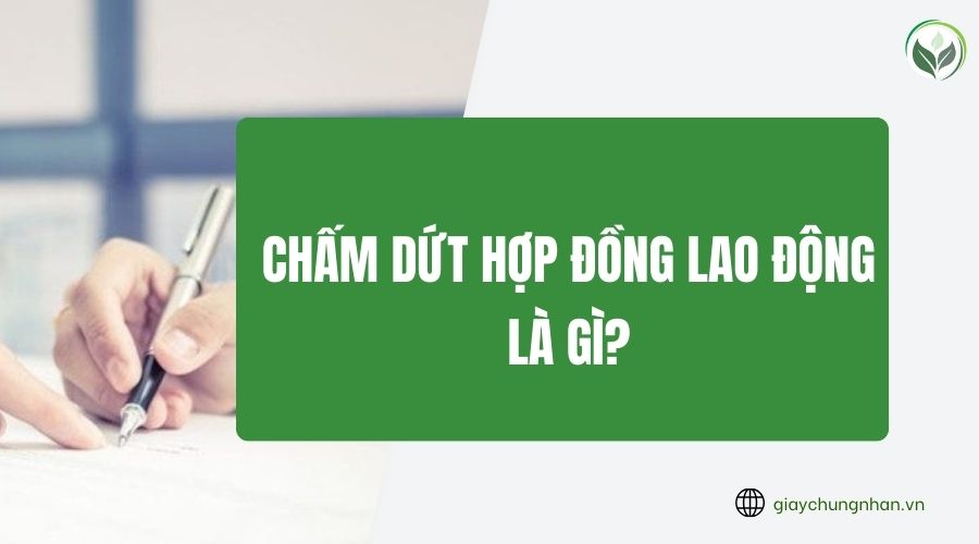 Chấm dứt hợp đồng lao động là gì?