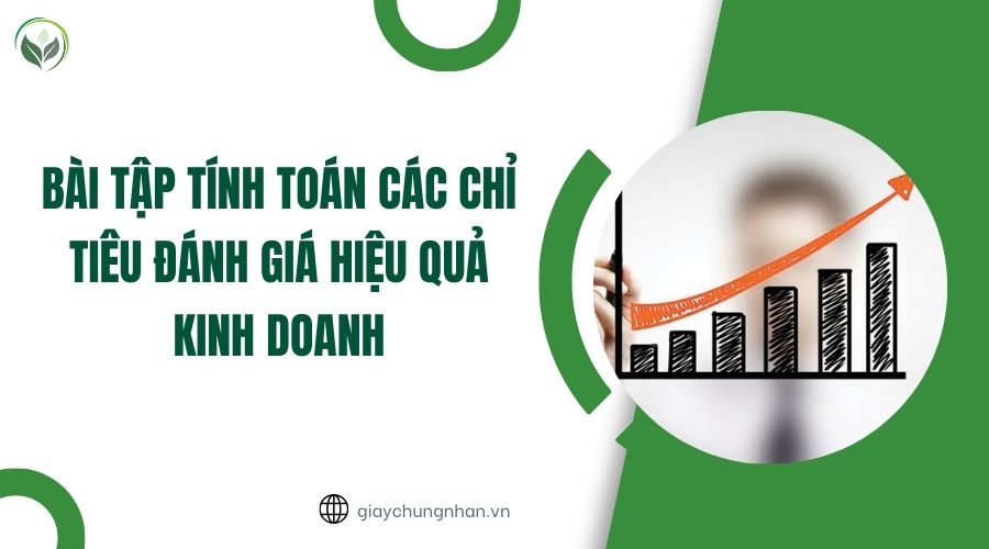 Bài tập tính toán các chỉ tiêu đánh giá hiệu quả kinh doanh