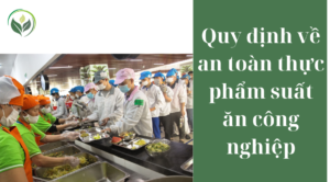 Quy định về an toàn thực phẩm suất ăn công nghiệp