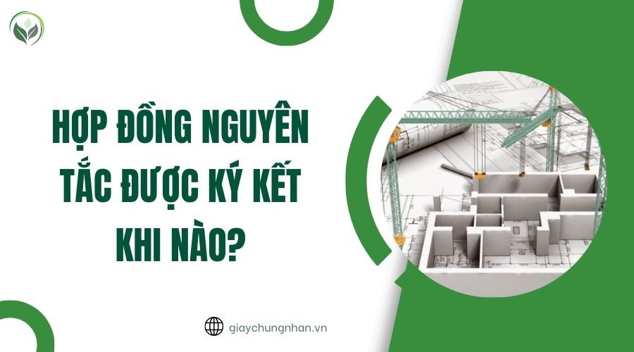 Hợp đồng nguyên tắc được ký kết khi nào?