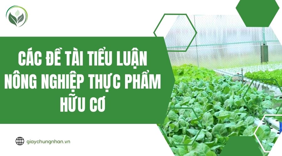 Các đề tài tiểu luận nông nghiệp thực phẩm hữu cơ