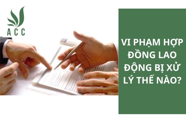 Vi phạm hợp đồng lao động bị xử lý thế nào