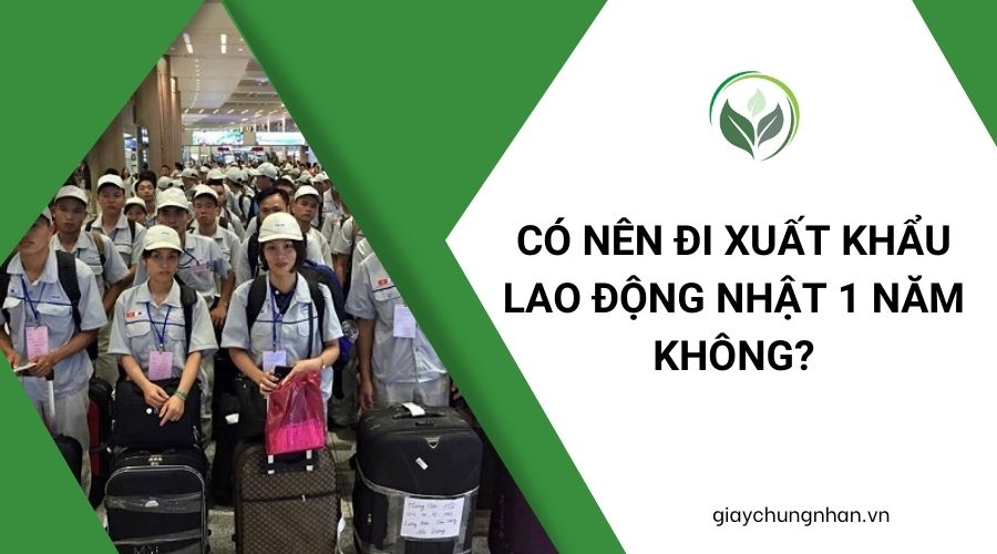Có nên đi xuất khẩu lao động Nhật 1 năm không?