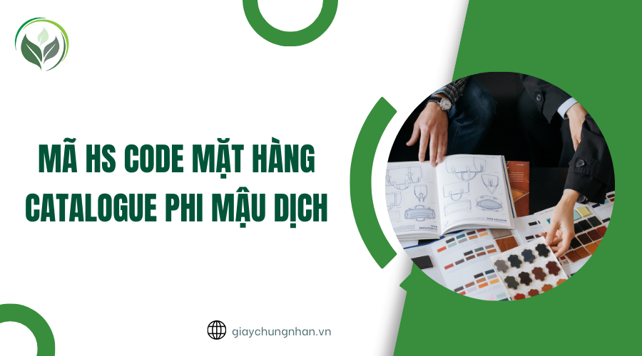 Thủ tục nhập khẩu Catalogue [Hàng phi mậu dịch]