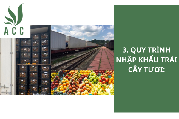3. Quy trình nhập khẩu trái cây tươi: