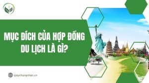 Mục đích của hợp đồng du lịch là gì?