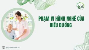 Phạm vi hành nghề của điều dưỡng