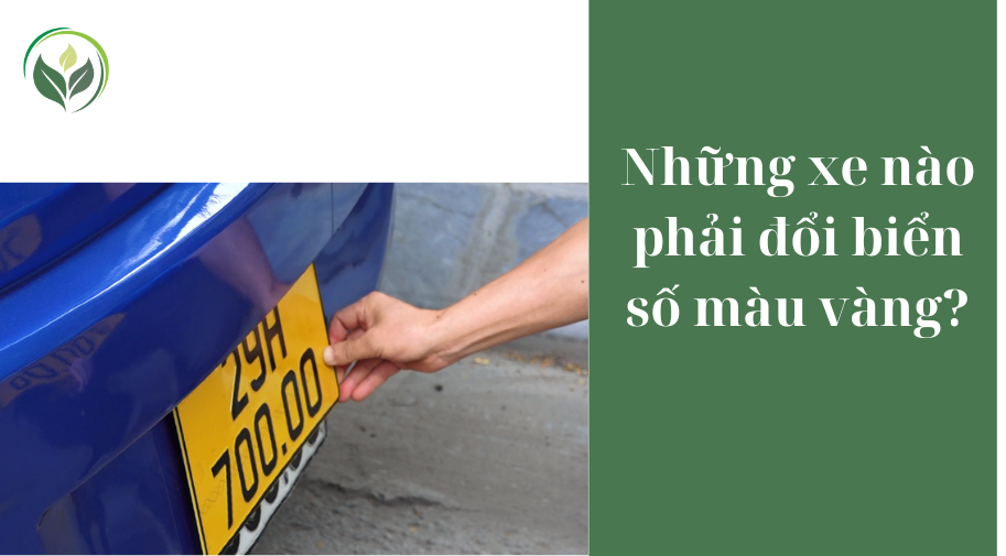 Những xe nào phải đổi biển số màu vàng?