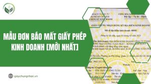 Mẫu đơn báo mất giấy phép kinh doanh [Mới nhất]