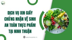 Dịch vụ xin giấy chứng nhận vệ sinh an toàn thực phẩm tại Ninh Thuận